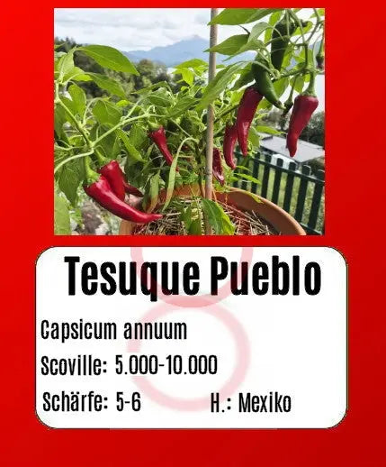 Tesuque Pueblo DER TOMATENFLÜSTERER