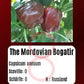 The Mordovian Bogatir DER TOMATENFLÜSTERER