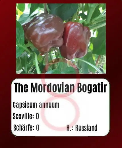 The Mordovian Bogatir DER TOMATENFLÜSTERER