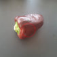 The Mordovian Bogatir DER TOMATENFLÜSTERER
