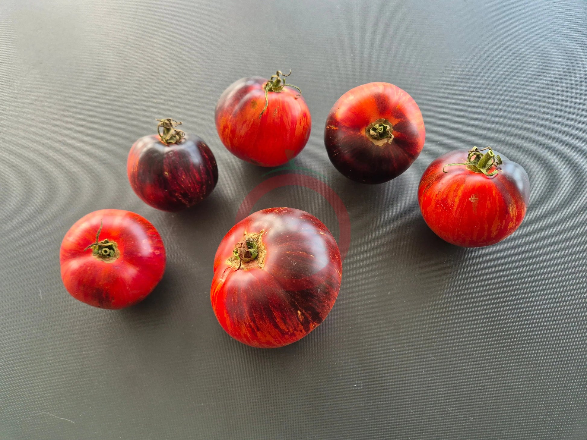 The Musketeers DER TOMATENFLÜSTERER