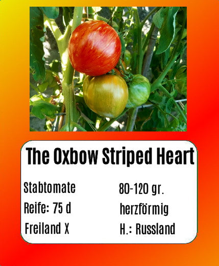 The Oxbow Striped Heart DER TOMATENFLÜSTERER
