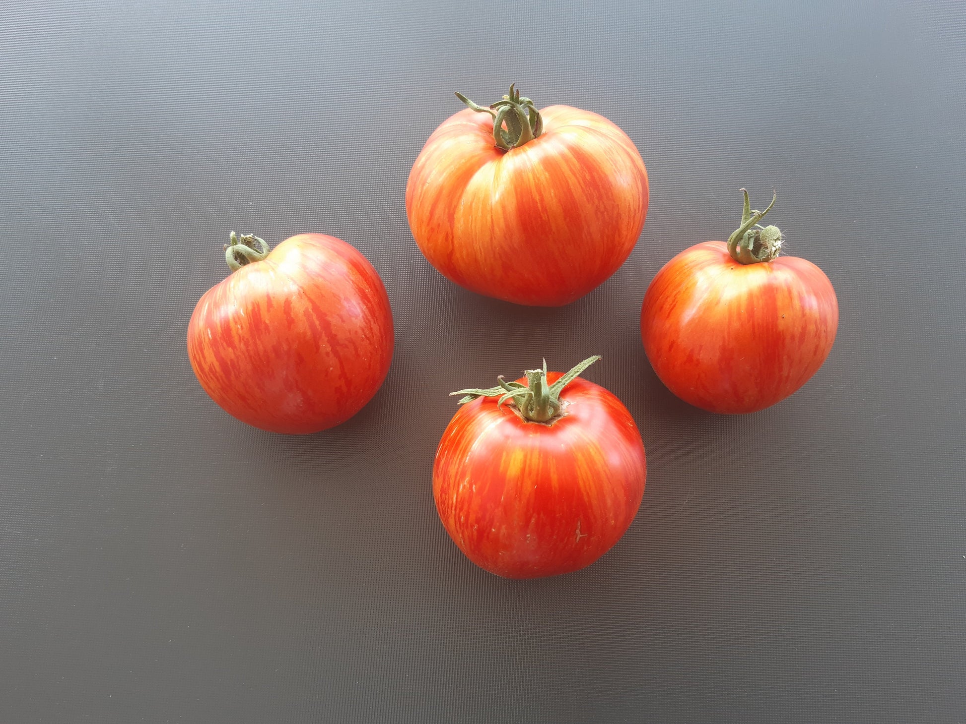 The Oxbow Striped Heart DER TOMATENFLÜSTERER