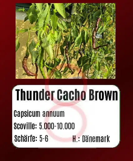 Thunder Cacho Brown DER TOMATENFLÜSTERER