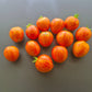Tigerette DER TOMATENFLÜSTERER