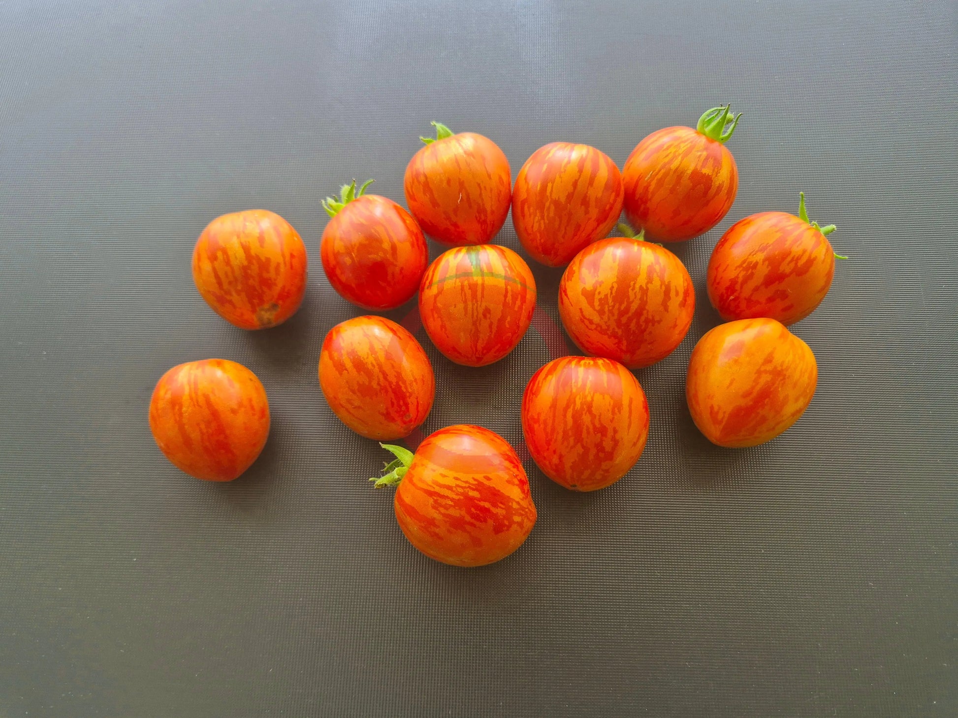 Tigerette DER TOMATENFLÜSTERER