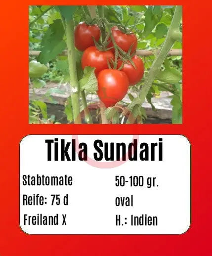 Tikla Sundari DER TOMATENFLÜSTERER