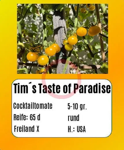 Tim´s Taste of Paradise DER TOMATENFLÜSTERER