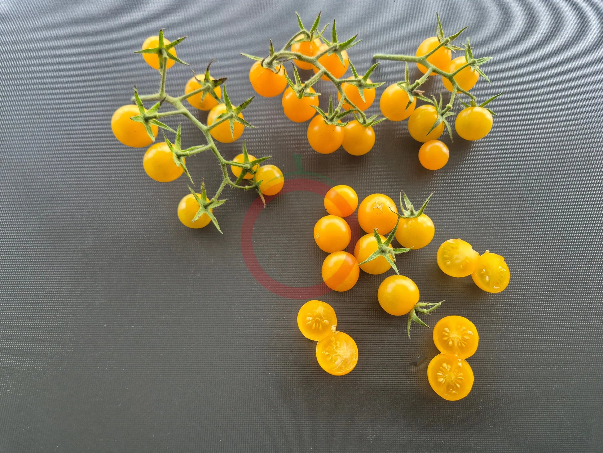 Tim´s Taste of Paradise DER TOMATENFLÜSTERER