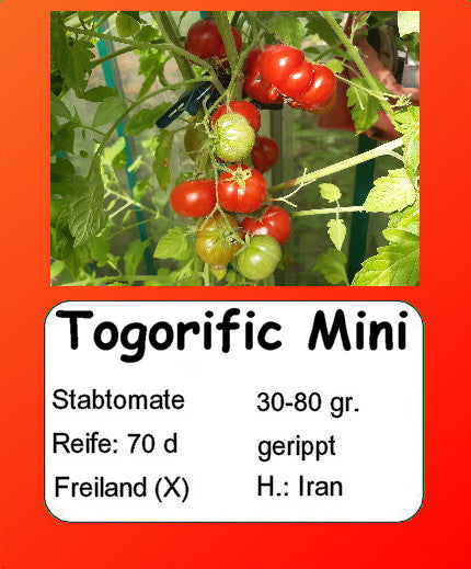 Togorific Mini DER TOMATENFLÜSTERER