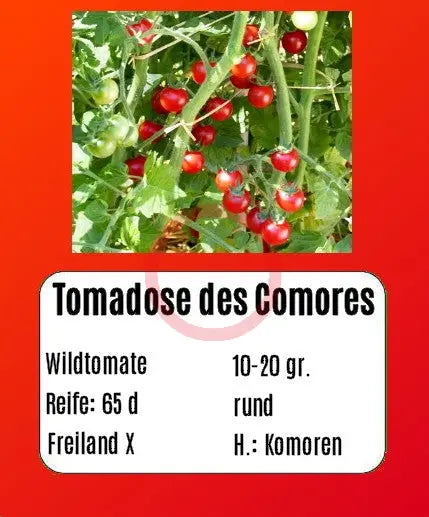 Tomadose des Comores DER TOMATENFLÜSTERER