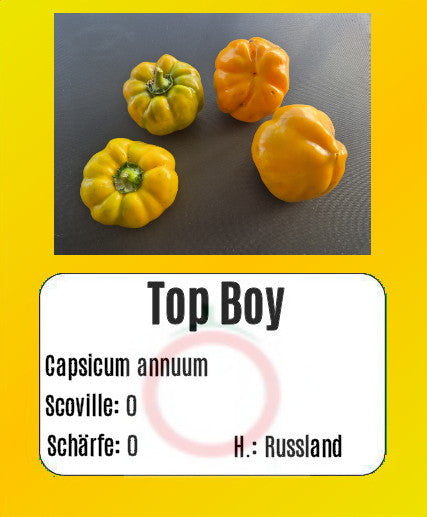 Top Boy DER TOMATENFLÜSTERER
