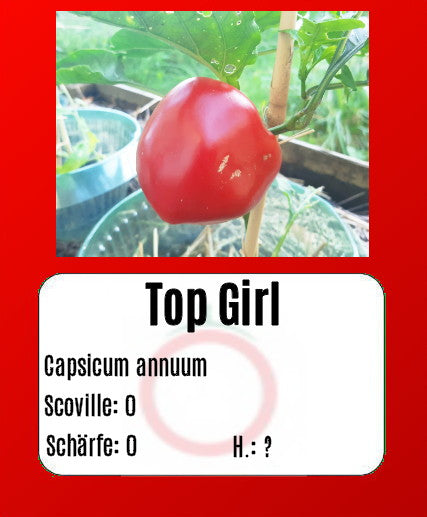 Top Girl DER TOMATENFLÜSTERER