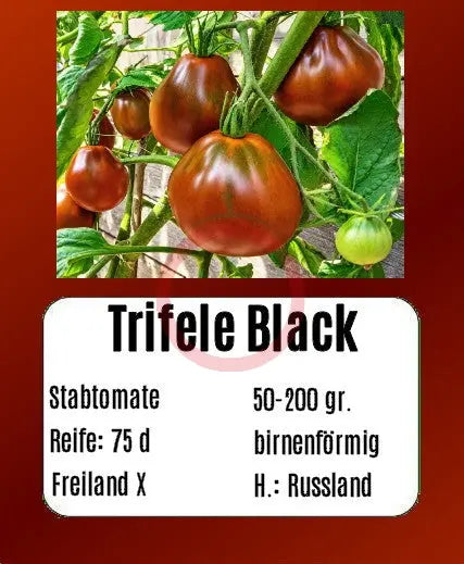 Trifele Black DER TOMATENFLÜSTERER
