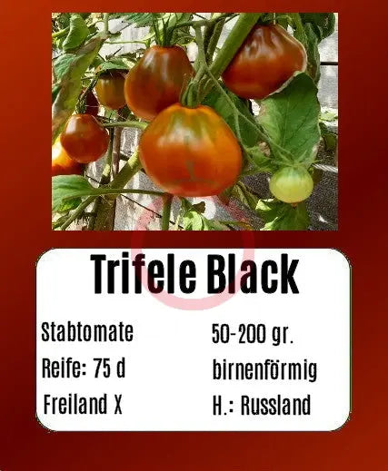 Trifele Black DER TOMATENFLÜSTERER