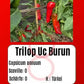 Trilop Uc Burun DER TOMATENFLÜSTERER