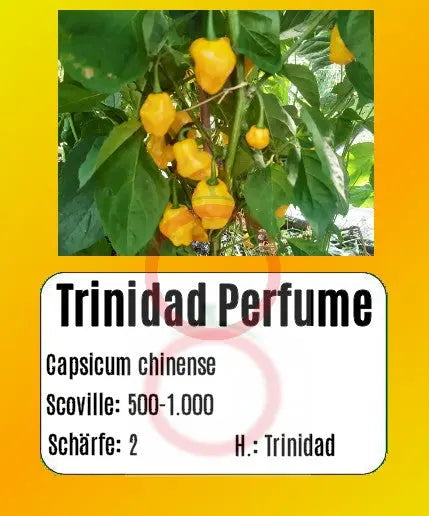 Trinidad Perfume DER TOMATENFLÜSTERER