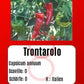 Trontarolo DER TOMATENFLÜSTERER