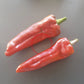 Trontarolo DER TOMATENFLÜSTERER