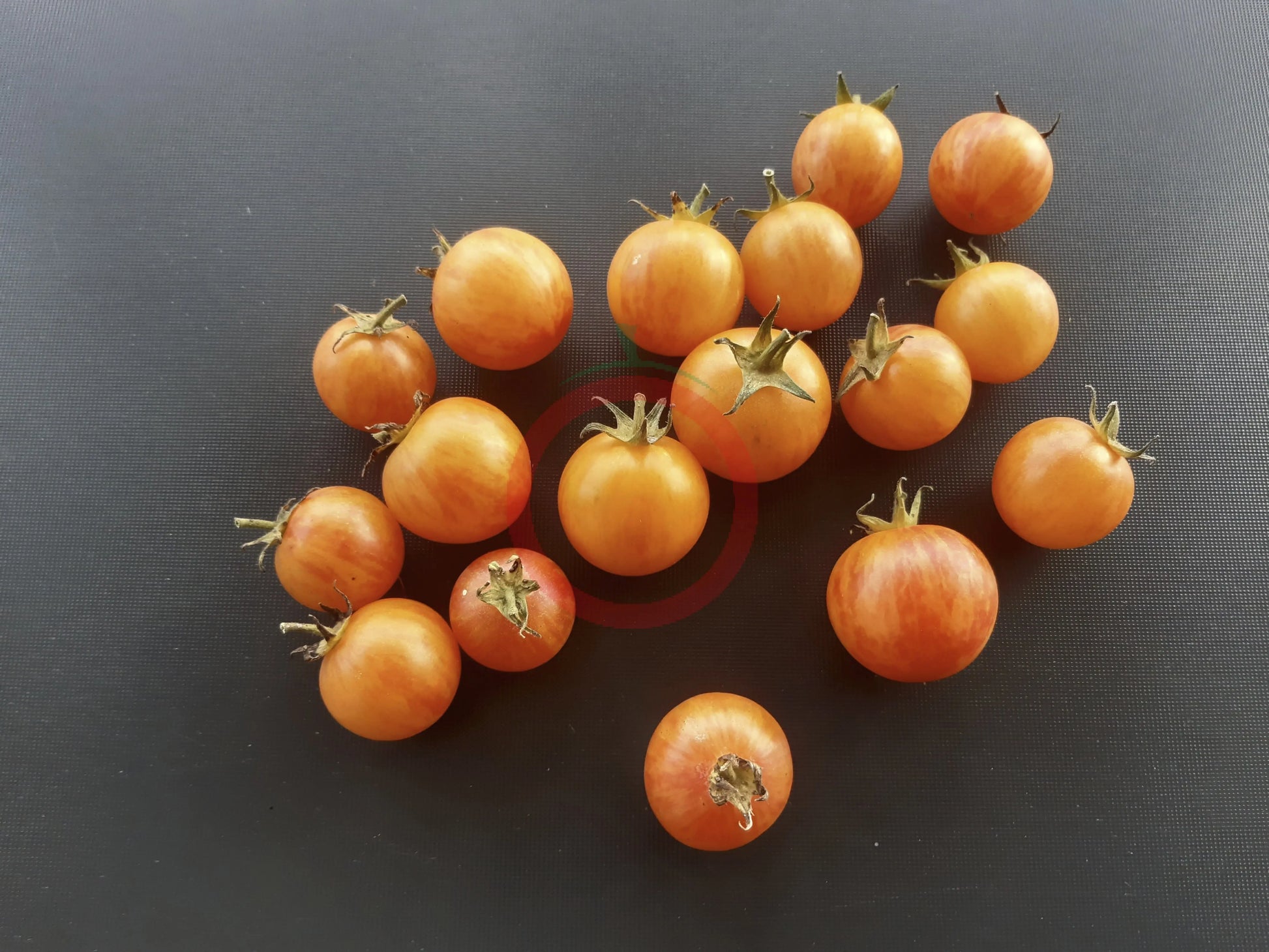 Tropical Sunset DER TOMATENFLÜSTERER