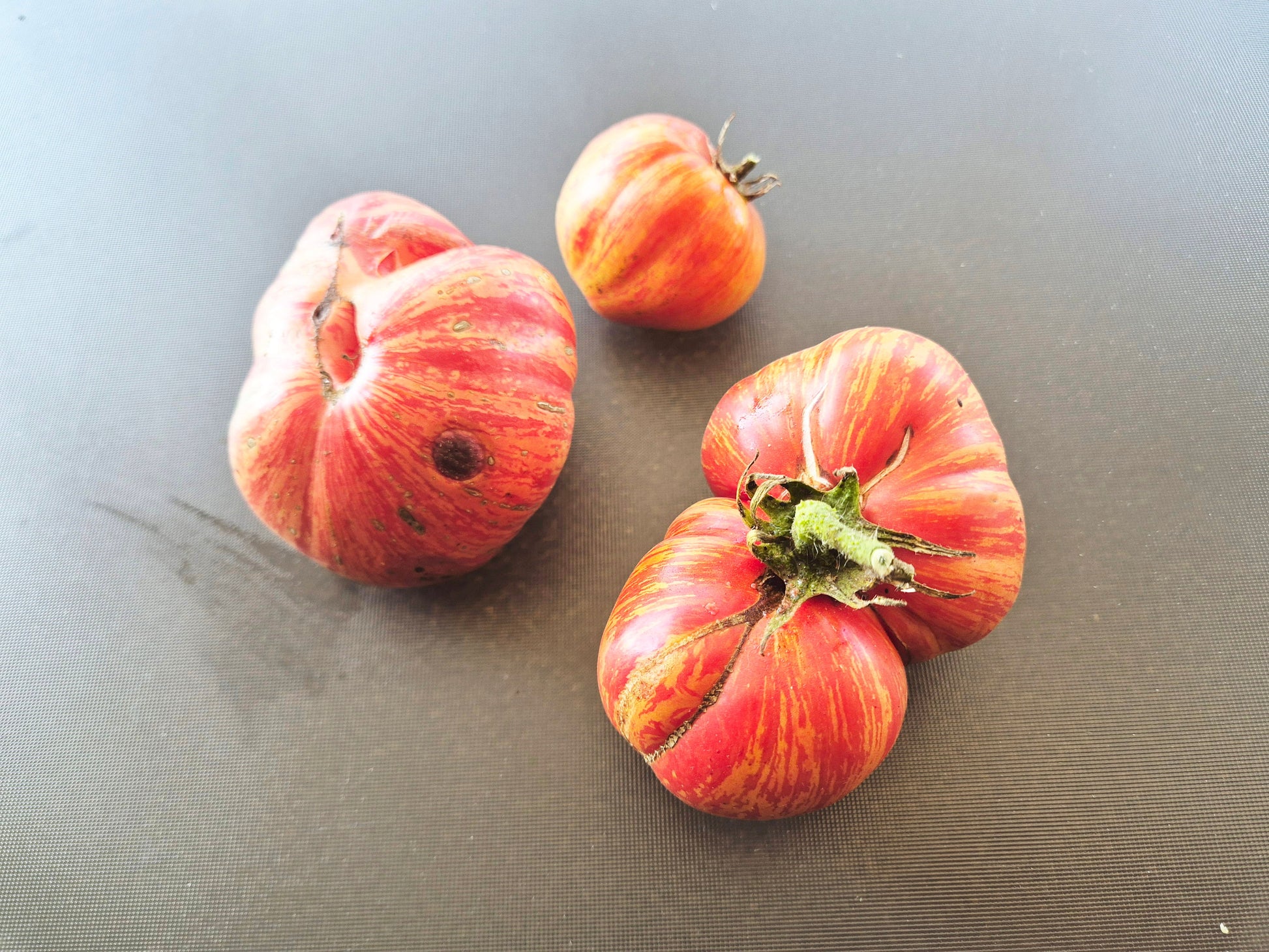 Tropikanka DER TOMATENFLÜSTERER