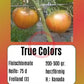 True Colors DER TOMATENFLÜSTERER