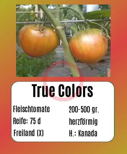 True Colors DER TOMATENFLÜSTERER