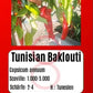 Tunisian Baklouti DER TOMATENFLÜSTERER