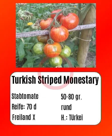 Turkish Striped Monestary DER TOMATENFLÜSTERER