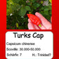 Turks Cap DER TOMATENFLÜSTERER