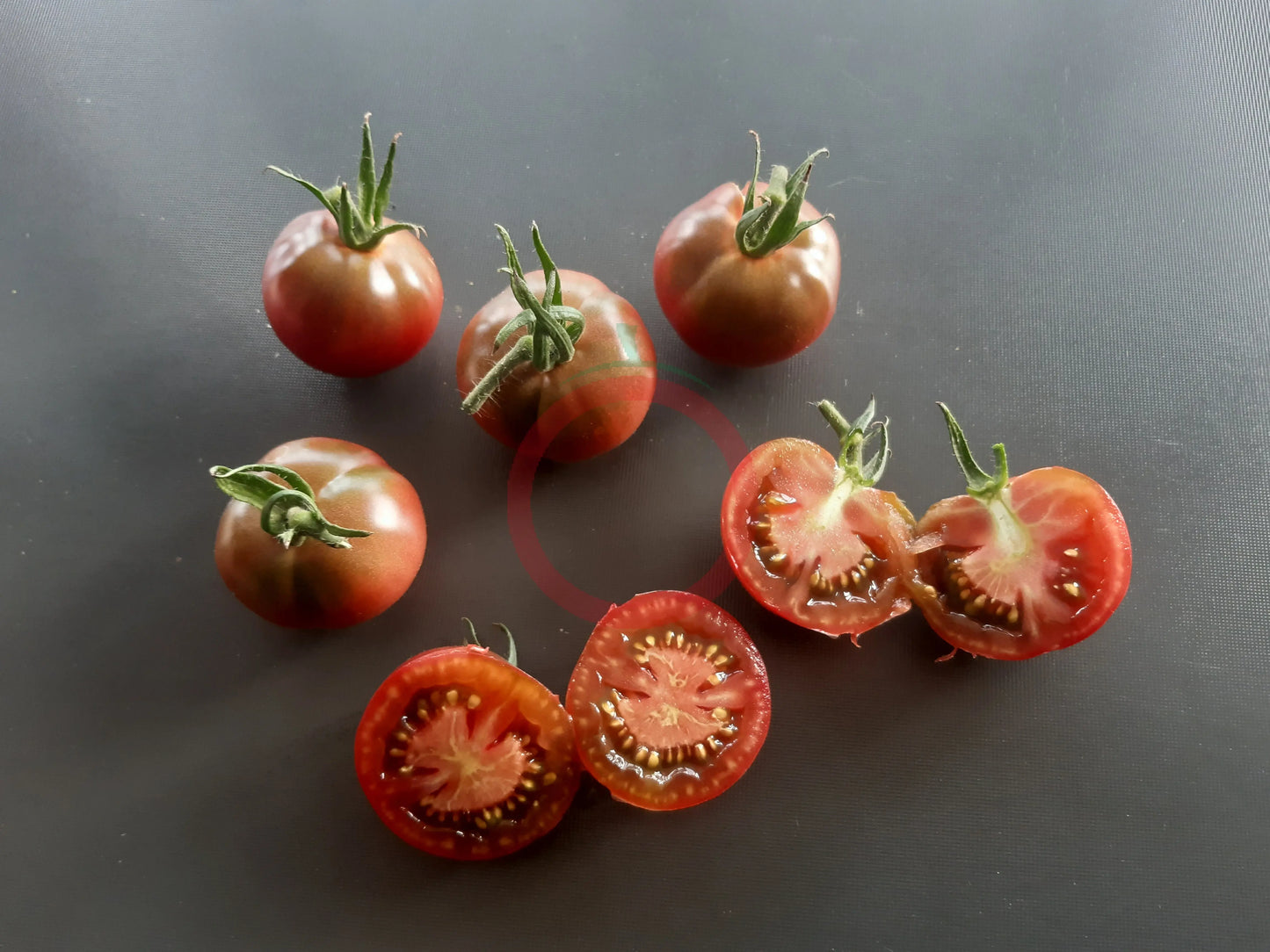 Turtle Purple DER TOMATENFLÜSTERER