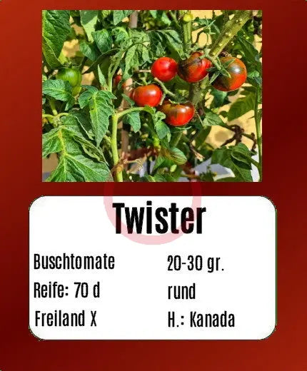 Twister DER TOMATENFLÜSTERER