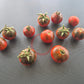 Twister DER TOMATENFLÜSTERER