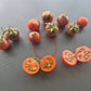 Twister DER TOMATENFLÜSTERER