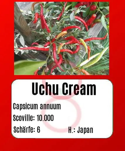 Uchu Cream DER TOMATENFLÜSTERER