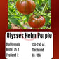 Ulysses Helm Purple DER TOMATENFLÜSTERER