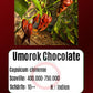 Umorok Chocolate DER TOMATENFLÜSTERER