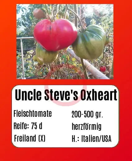 Uncle Steve's Oxheart DER TOMATENFLÜSTERER