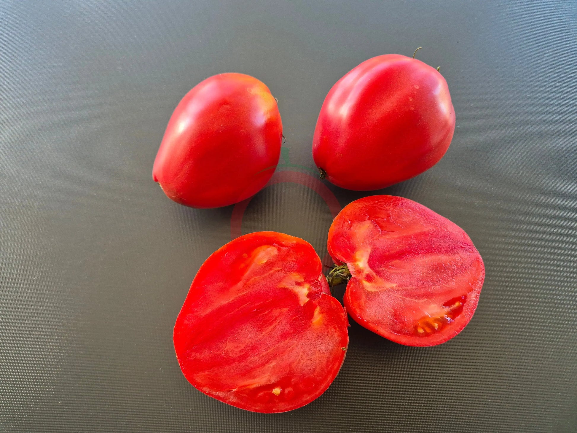 Ungarisches Riesenochsenherz DER TOMATENFLÜSTERER