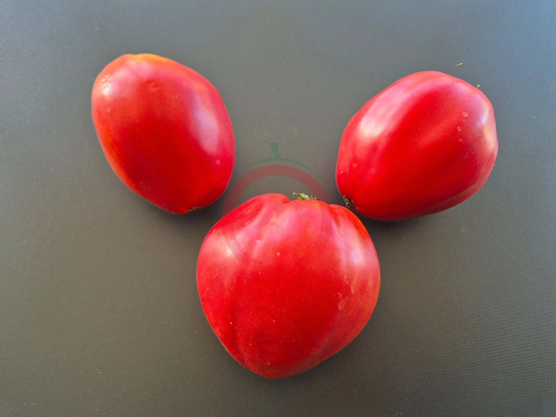 Ungarisches Riesenochsenherz DER TOMATENFLÜSTERER
