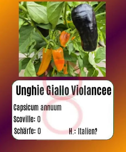 Unghie Giallo Violancee DER TOMATENFLÜSTERER