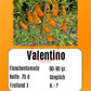 Valentino DER TOMATENFLÜSTERER