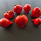 Vater Rhein DER TOMATENFLÜSTERER