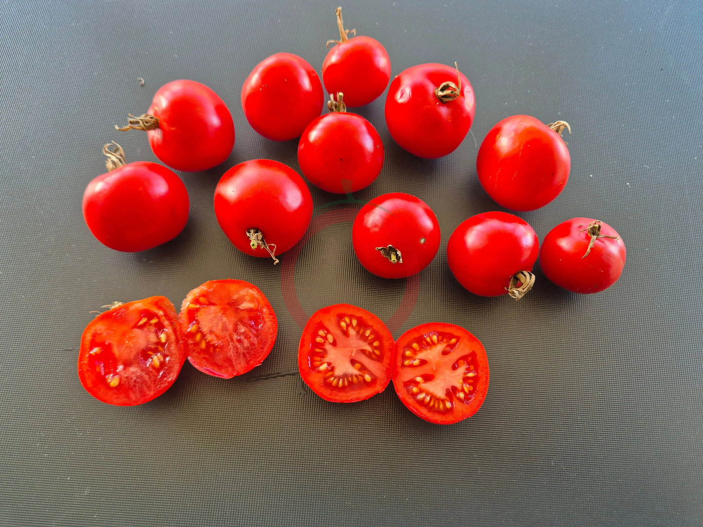 Veni Vidi Vici DER TOMATENFLÜSTERER