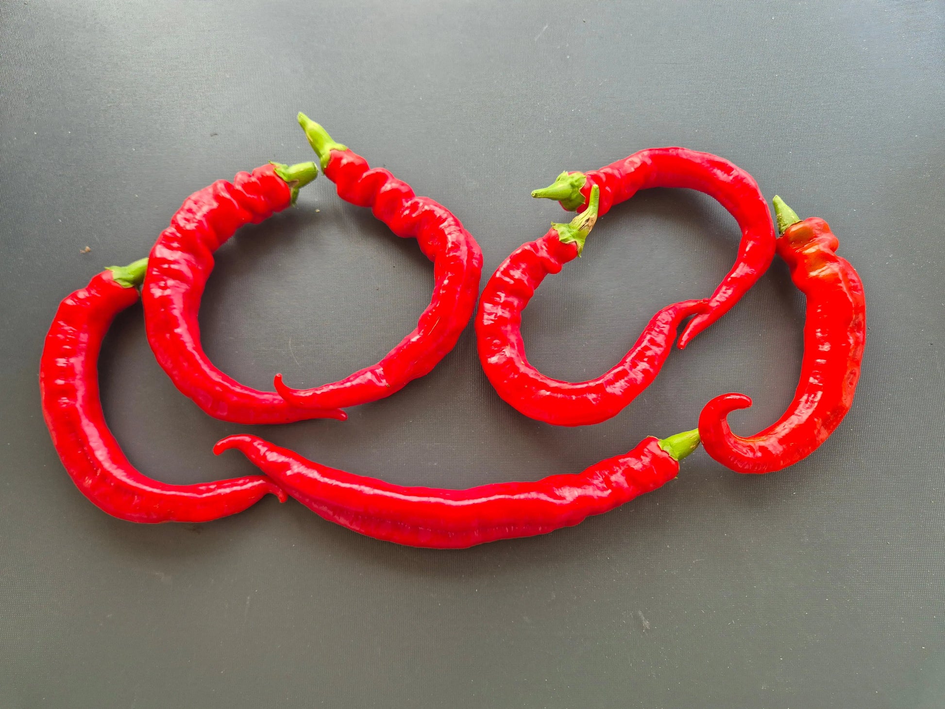 Verato DER TOMATENFLÜSTERER