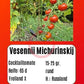Vesennij Michurinskij DER TOMATENFLÜSTERER