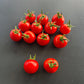 Vesennij Michurinskij DER TOMATENFLÜSTERER