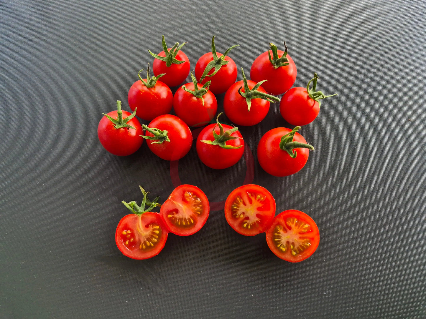 Vesennij Michurinskij DER TOMATENFLÜSTERER