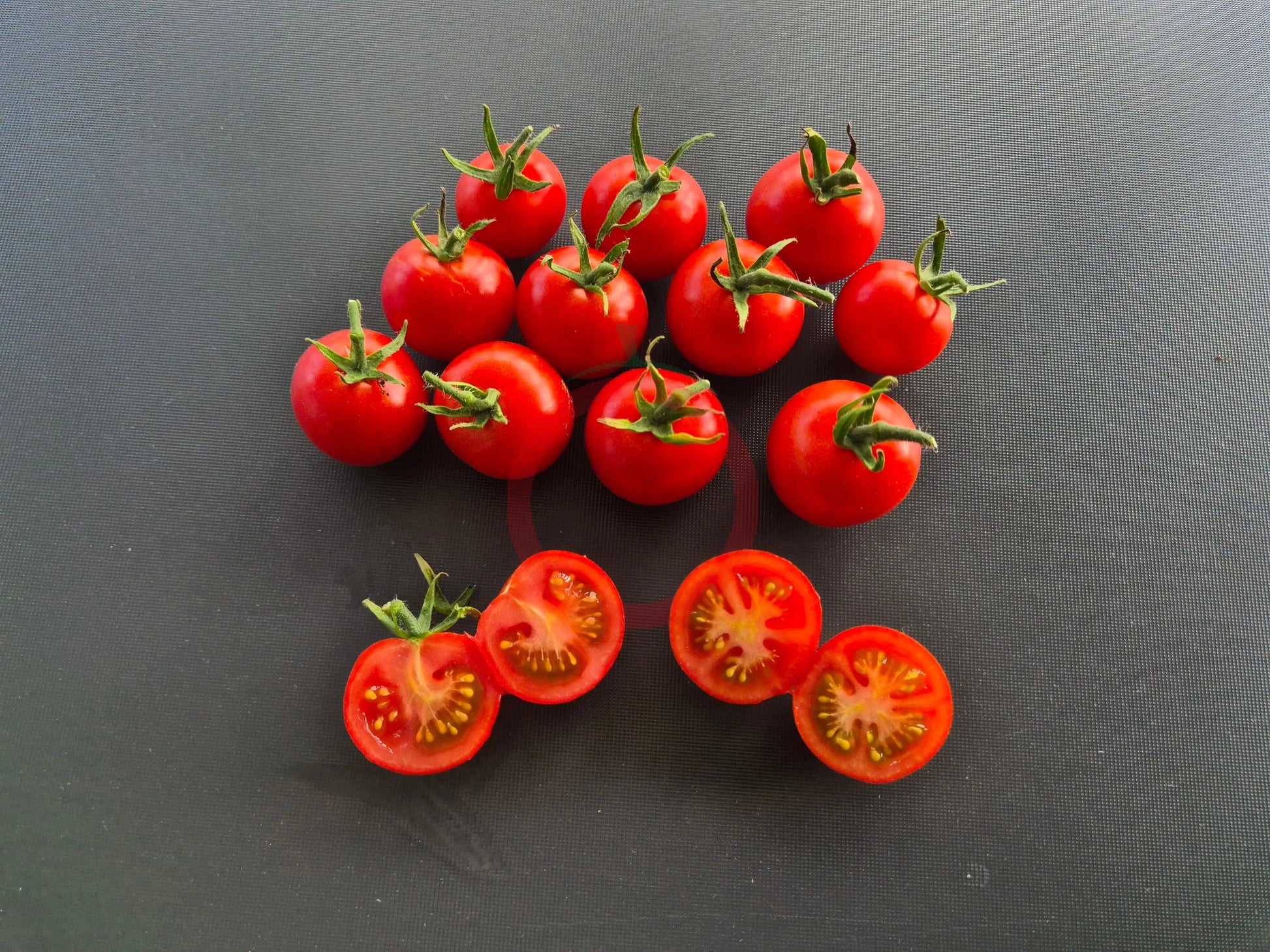 Vesennij Michurinskij DER TOMATENFLÜSTERER