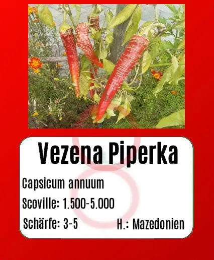 Vezena Piperka DER TOMATENFLÜSTERER
